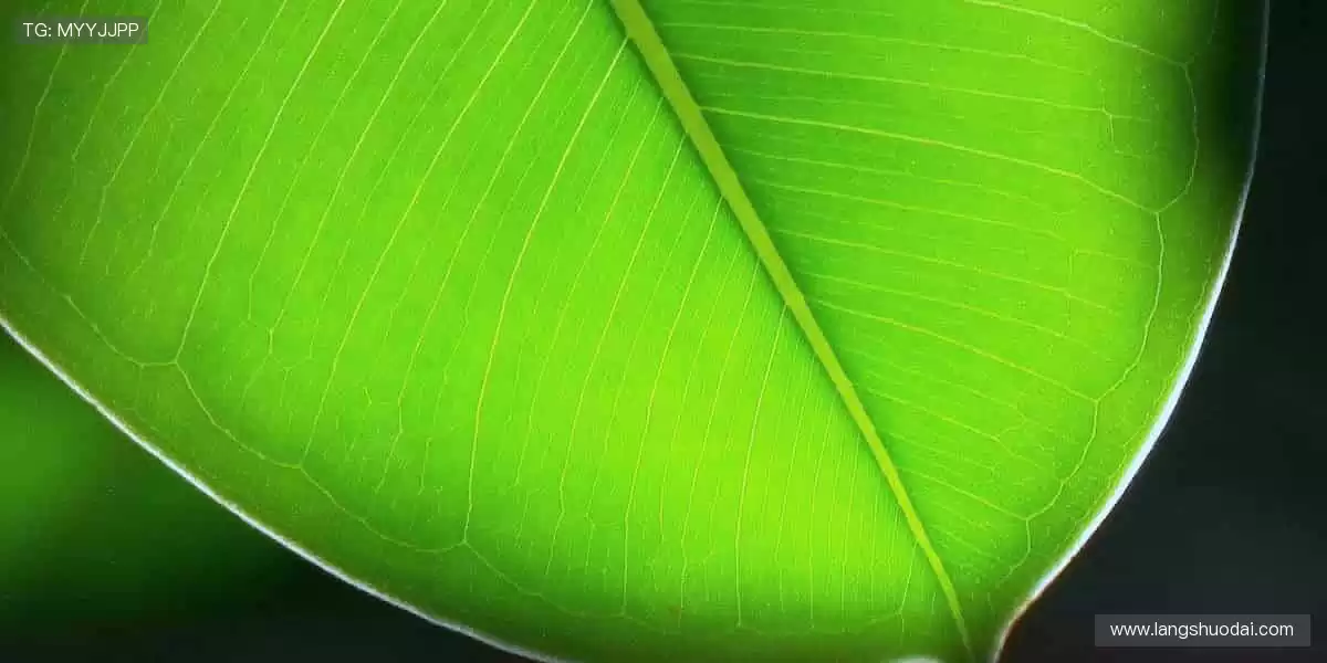 装备你的热爱,从这里开始!🎯🎁